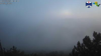 immagine della webcam nei dintorni di Roma Pietralata: webcam Domatore