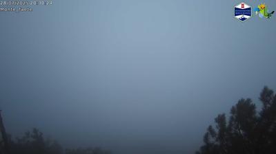 immagine della webcam nei dintorni di Pomezia: webcam Domatore