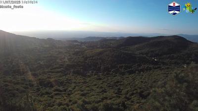 immagine della webcam nei dintorni di Tor San Lorenzo: webcam Domatore