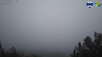 immagine della webcam nei dintorni di Castel Gandolfo: webcam Domatore