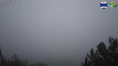 immagine della webcam nei dintorni di Roma Pietralata: webcam Domatore