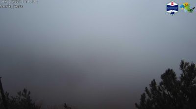 immagine della webcam nei dintorni di Gorga: webcam Domatore