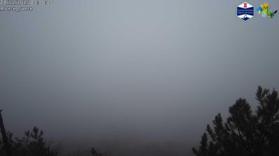 immagine della webcam nei dintorni di Genazzano: webcam Domatore