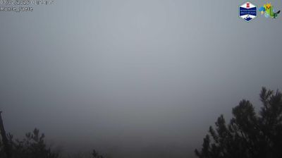 immagine della webcam nei dintorni di Settecamini: webcam Domatore