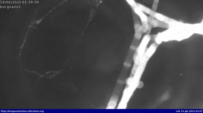 immagine della webcam nei dintorni di Grado Pineta: webcam Medea