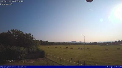 immagine della webcam nei dintorni di Grado Pineta: webcam Medea