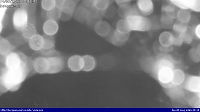 immagine della webcam nei dintorni di Lignano Pineta: webcam Medea