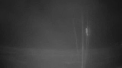 immagine della webcam nei dintorni di Viareggio: webcam Marinella