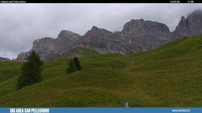 webcam