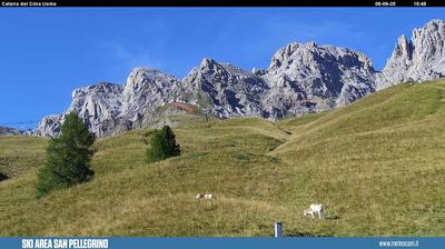 webcam