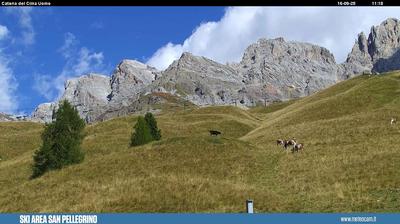 webcam