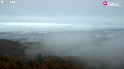 immagine della webcam nei dintorni di Bolzano Novarese: webcam Colazza