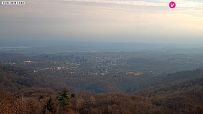 immagine della webcam nei dintorni di Pella: webcam Colazza