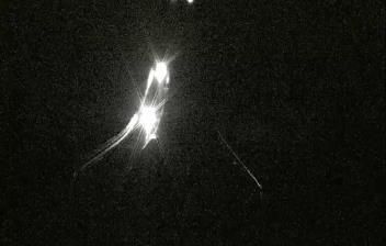 immagine della webcam nei dintorni di Corneliano d'Alba: webcam Salmour