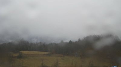 immagine della webcam nei dintorni di Zerba: webcam Rovegno