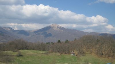 immagine della webcam nei dintorni di Cantalupo Ligure: webcam Rovegno