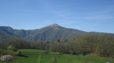 immagine della webcam nei dintorni di Passo del Penice: webcam Rovegno