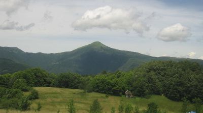 immagine della webcam nei dintorni di Santo Stefano d'Aveto: webcam Rovegno