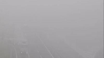 immagine della webcam nei dintorni di Cervere: webcam Magliano Alpi