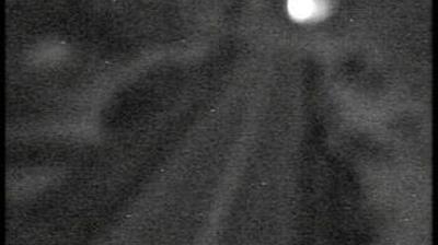 immagine della webcam nei dintorni di Roburent: webcam Priero