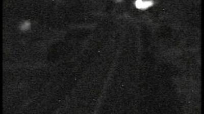 immagine della webcam nei dintorni di Niella Tanaro: webcam Priero