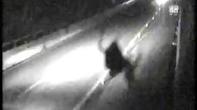 immagine della webcam nei dintorni di Niella Belbo: webcam Roccavignale