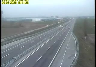 immagine della webcam nei dintorni di Magliano Alpi: webcam Cervere