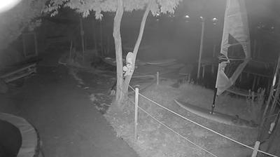 immagine della webcam nei dintorni di Lucca: webcam Pontedera