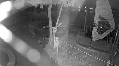 immagine della webcam nei dintorni di Lari: webcam Pontedera