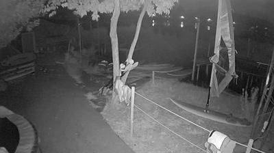 immagine della webcam nei dintorni di Rosignano Solvay: webcam Pontedera