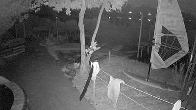 immagine della webcam nei dintorni di Montecatini Terme: webcam Pontedera