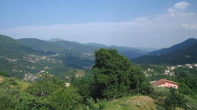 immagine della webcam nei dintorni di Cicagna: webcam Tribogna