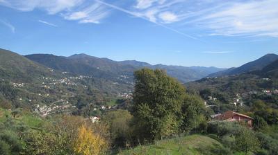 immagine della webcam nei dintorni di Favale di Malvaro: webcam Tribogna