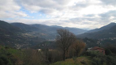 immagine della webcam nei dintorni di Rovegno: webcam Tribogna