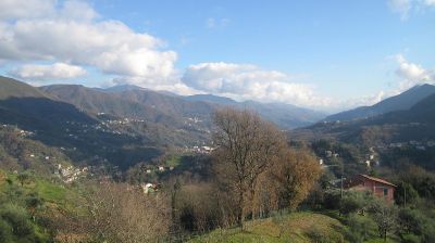 immagine della webcam nei dintorni di Santa Margherita Ligure: webcam Tribogna