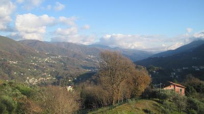 immagine della webcam nei dintorni di Ruta: webcam Tribogna