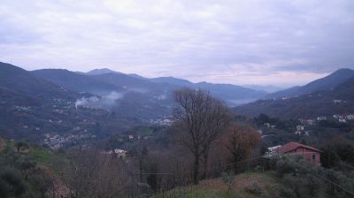 immagine della webcam nei dintorni di Zerba: webcam Tribogna