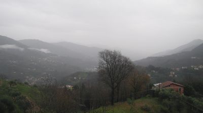 immagine della webcam nei dintorni di Zoagli: webcam Tribogna