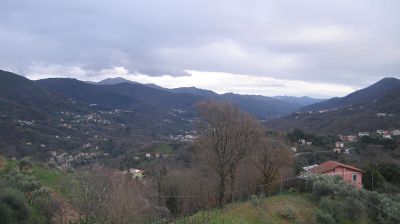 immagine della webcam nei dintorni di Portofino Vetta: webcam Tribogna