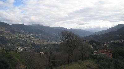 immagine della webcam nei dintorni di Santa Margherita Ligure: webcam Tribogna