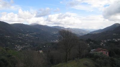 immagine della webcam nei dintorni di Quinto Al Mare: webcam Tribogna