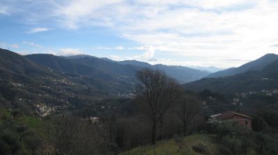 immagine della webcam nei dintorni di Santo Stefano d'Aveto: webcam Tribogna