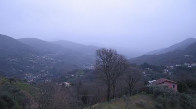 immagine della webcam nei dintorni di Favale di Malvaro: webcam Tribogna