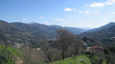 immagine della webcam nei dintorni di Rovegno: webcam Tribogna