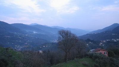 immagine della webcam nei dintorni di Sant'Olcese: webcam Tribogna