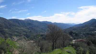 immagine della webcam nei dintorni di Casella: webcam Tribogna