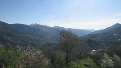 immagine della webcam nei dintorni di San Michele Di Pagana: webcam Tribogna