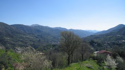 immagine della webcam nei dintorni di Sestri Levante: webcam Tribogna