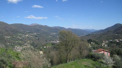 immagine della webcam nei dintorni di Cicagna: webcam Tribogna