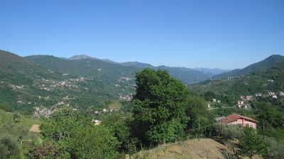 immagine della webcam nei dintorni di Santa Margherita Ligure: webcam Tribogna